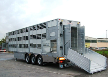 Автомобильные грузоперевозки крупного рогатого скота