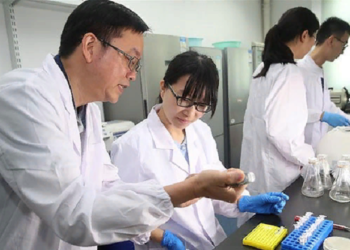 Китайские ученые раскрыли тайну загадочного эликсира, найденного в гробнице 2000-летней давности