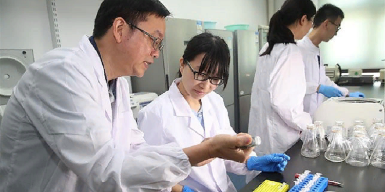 Китайские ученые раскрыли тайну загадочного эликсира, найденного в гробнице 2000-летней давности