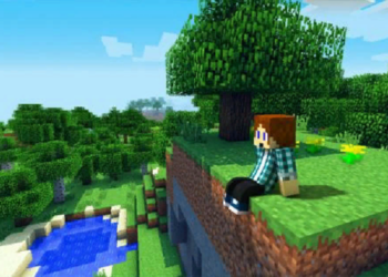 Знакомимся с игрой Майнкрафт и интересные факты