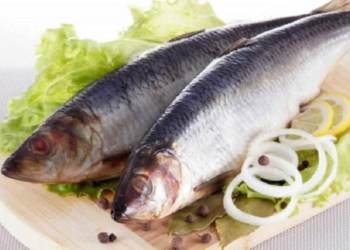 Готовим маринованную селедку: правила и советы