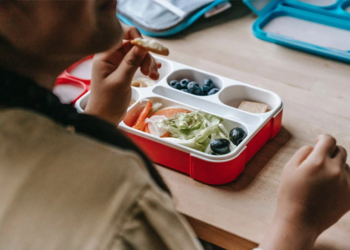 Выбираем правильный ланч бокс для детей и советы