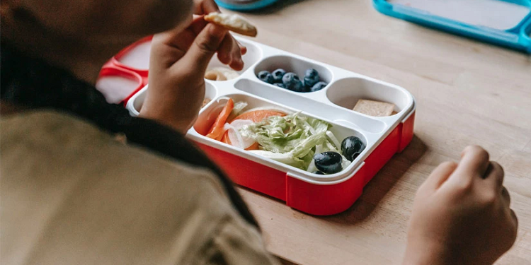 Выбираем правильный ланч бокс для детей и советы