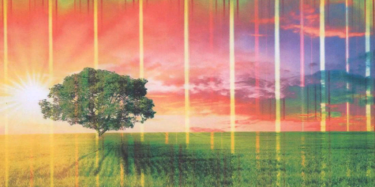 Почему принтер печатает полосы и как это устранить