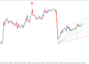 Веер Ганна: что это такое, назначение и достоинства