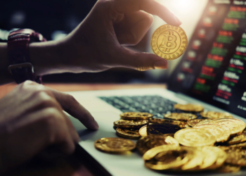 Как определить ценность криптовалюты биткоин и альткоин