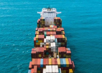 Экспорт сельхозпродукции в Украине: правила и этапы