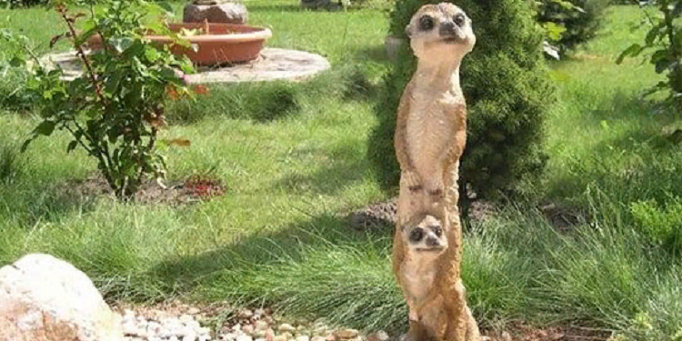 Декоративные фигурки для сада: требования и выбор