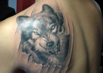 Тату волка: обозначение и место для нанесения тату