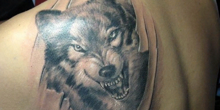 Тату волка: обозначение и место для нанесения тату