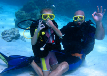 Что нужно для занятия дайвинга для начинающих