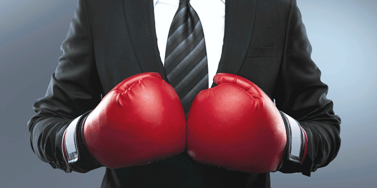 Какие перчатки выбрать для единоборства и советы