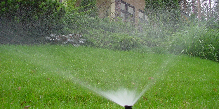 Как устроить автоматический полив газона и советы