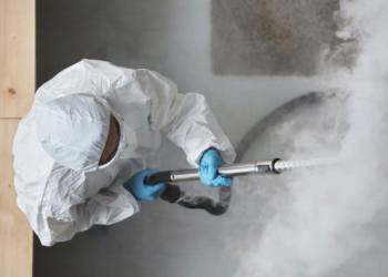 Дезинсекция домов: правила и основные способы