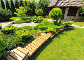 Озеленение дачного участка: идеи и советы