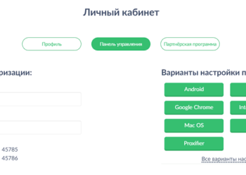 Получение прокси сервера: правила и рекомендации