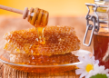 Как выбирать алтайский мед и его основные виды