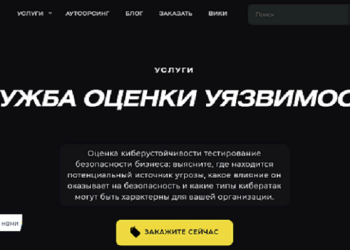 Оценка уязвимостей как услуга: достоинства и суть