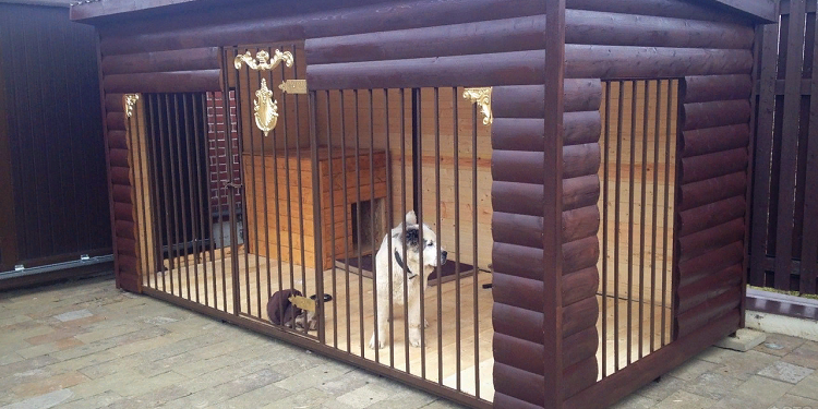 Создание вольеров для собак и их разновидности