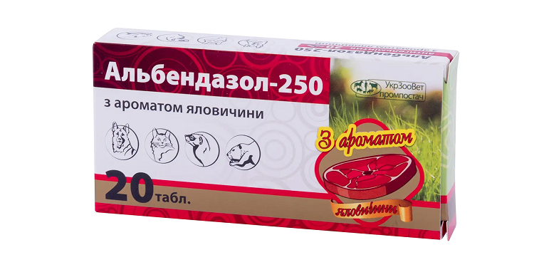 Протиглистові препарати для собак: різновиди та як обрати