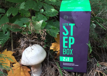 Какой выбрать препарат для укрепления сосудов и советы