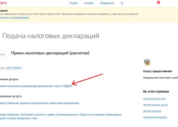 Правила подачи декларации по ПБ через госуслуги