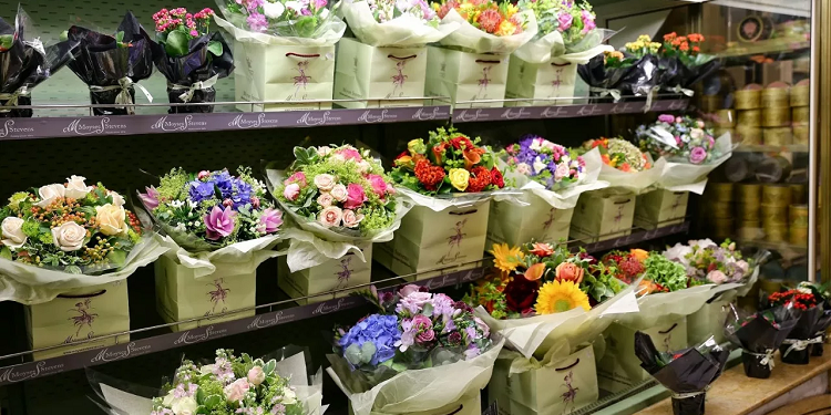 С чего начать бизнес на цветах и несколько рекомендаций