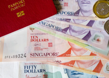 Виза в Сингапур: требования, особенности и правила получения