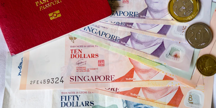 Виза в Сингапур: требования, особенности и правила получения