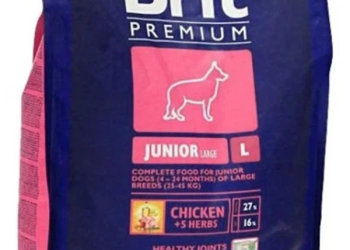 Обзор корма Brit для собак: виды и советы по выбору