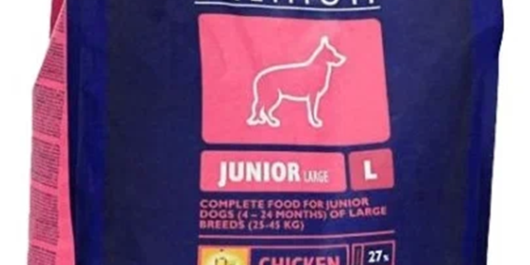 Обзор корма Brit для собак: виды и советы по выбору