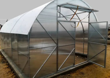 Современные теплицы: разнообразие форм и возможностей