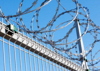 Проволока колючая для забора: виды и установка