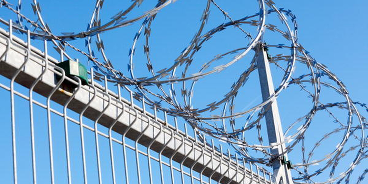 Проволока колючая для забора: виды и установка