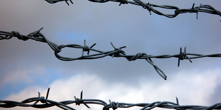 Что такое колючая проволока и ее основное применение