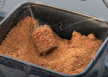 Как выбирать правильные прикормки для рыбалки и советы