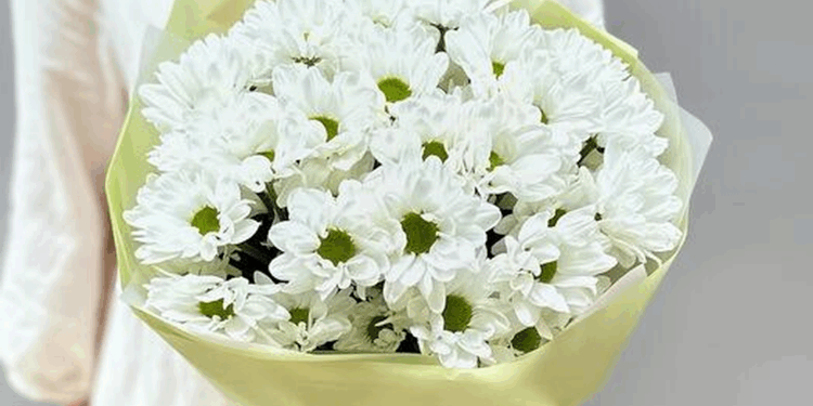 Как оформить букет из хризантем и несколько рекомендаций