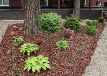 Эффективные методы мульчирования древесно-кустарниковой растительности для защиты и роста растений