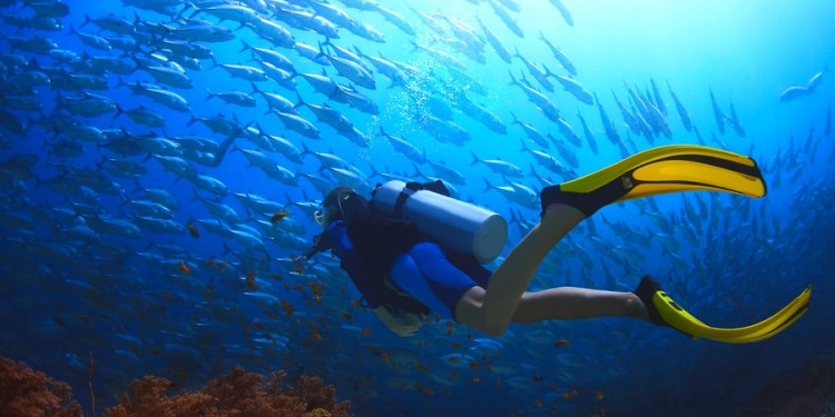 Дайвинг в Нячанге: что увидеть под водой и как подготовиться к первому погружению